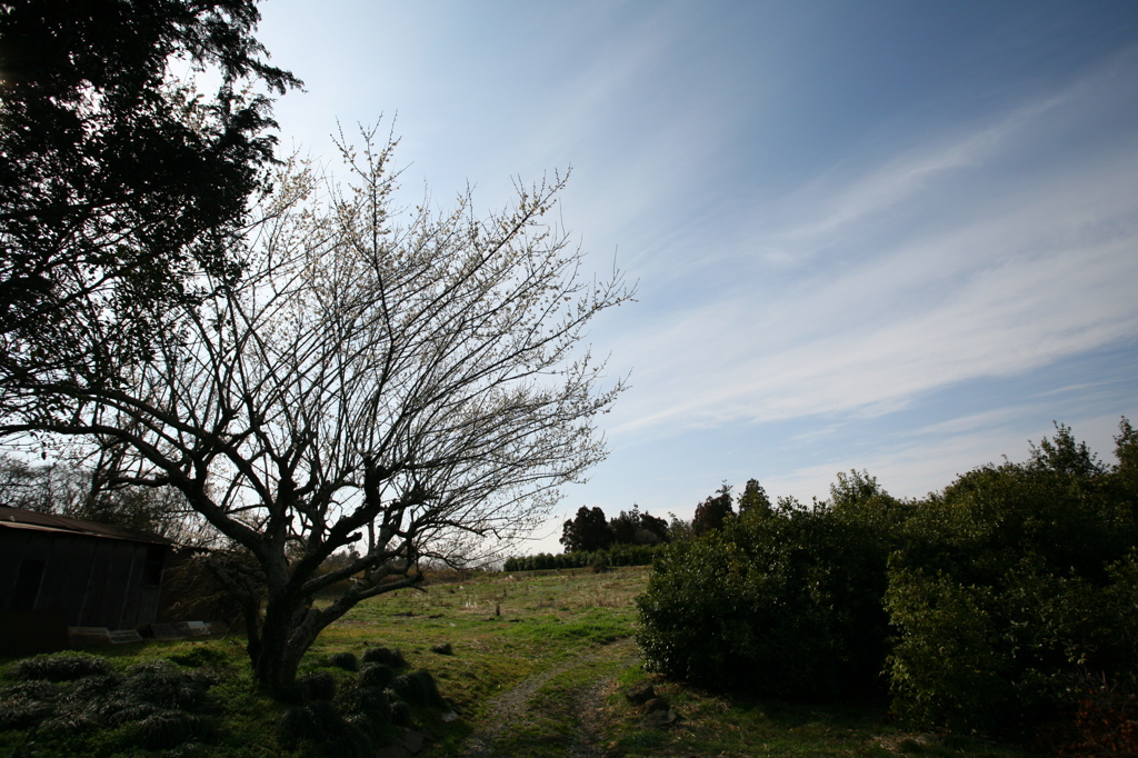 空へ