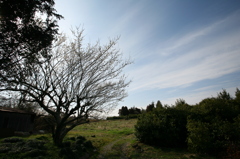 空へ