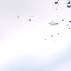 空中クラウン
