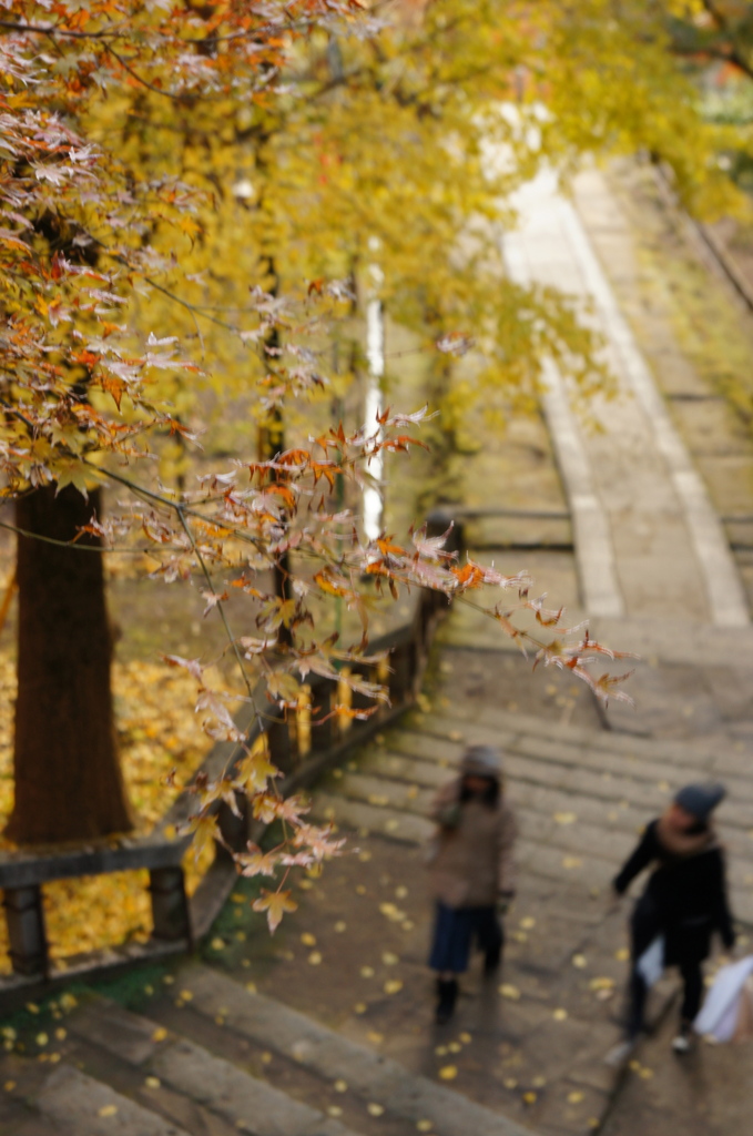 お詣り女子〜建長寺編〜