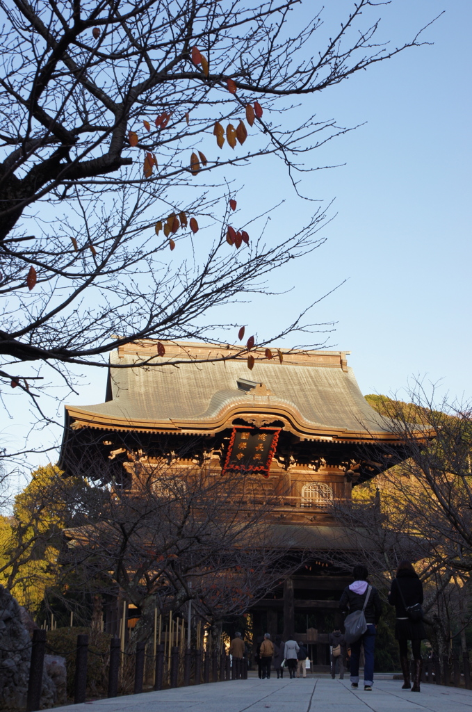 秋のなごり〜建長寺編〜