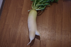 こんなところにも・・・ほ