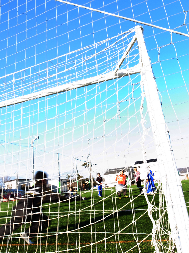 ネットをゆらせ