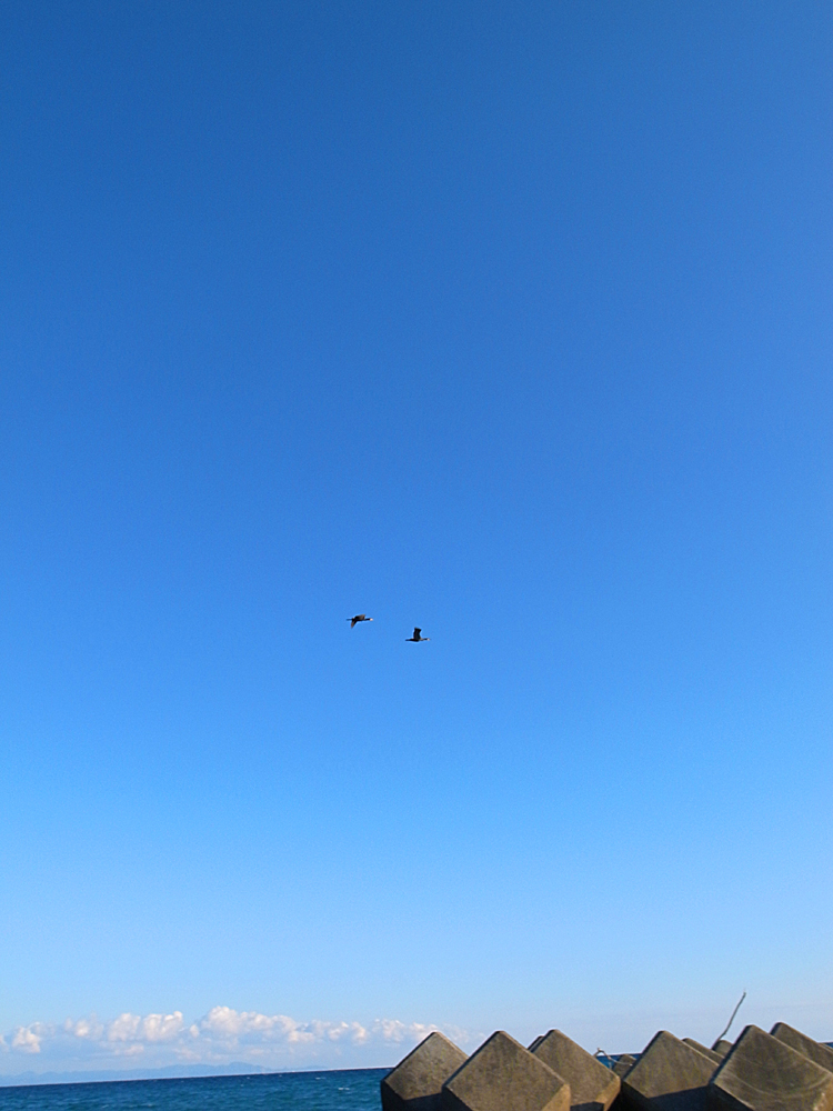 早春の海の空