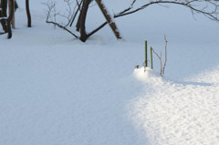 くっ…、苦し～