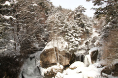 冬の竜頭の滝
