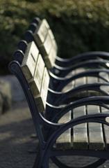 不忍池のベンチ