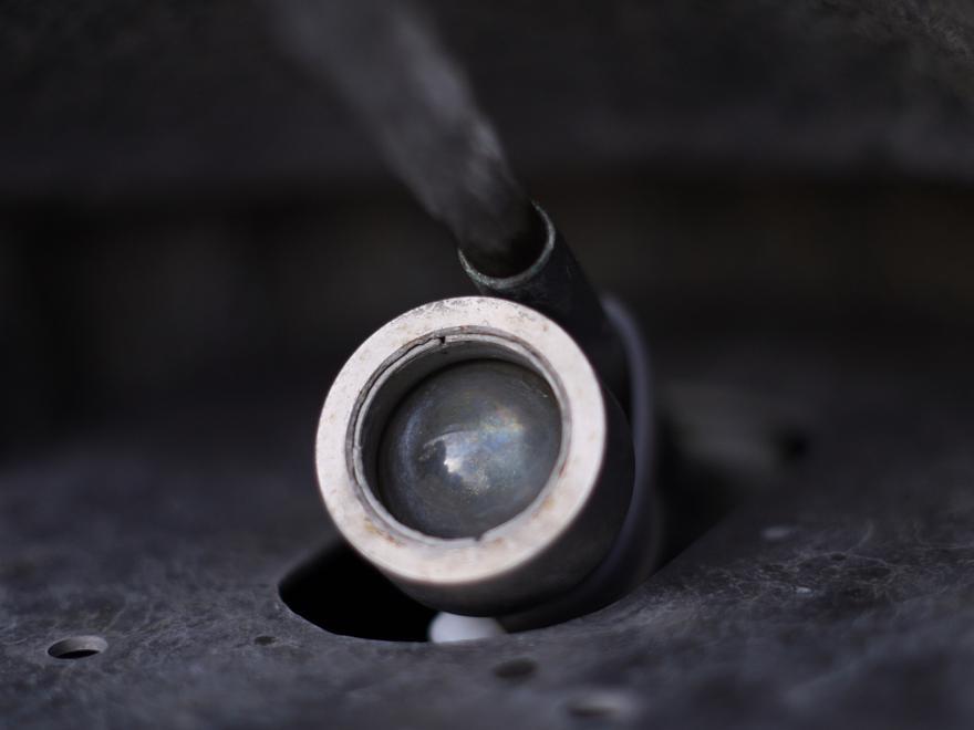 カエルの口の中