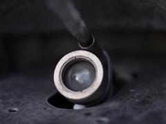 カエルの口の中