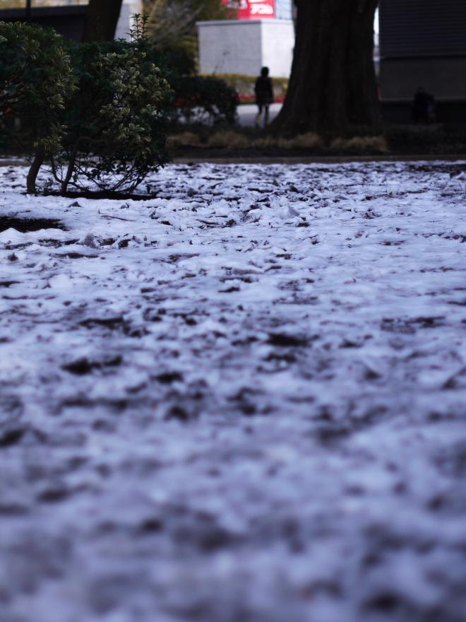 雪からの視線移動