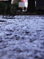 雪からの視線移動