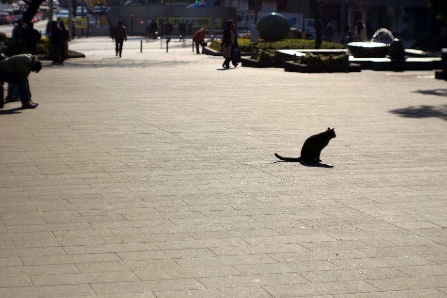 05上野公園うなだれ