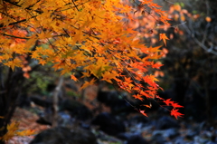 山田池公園