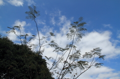 山田池公園