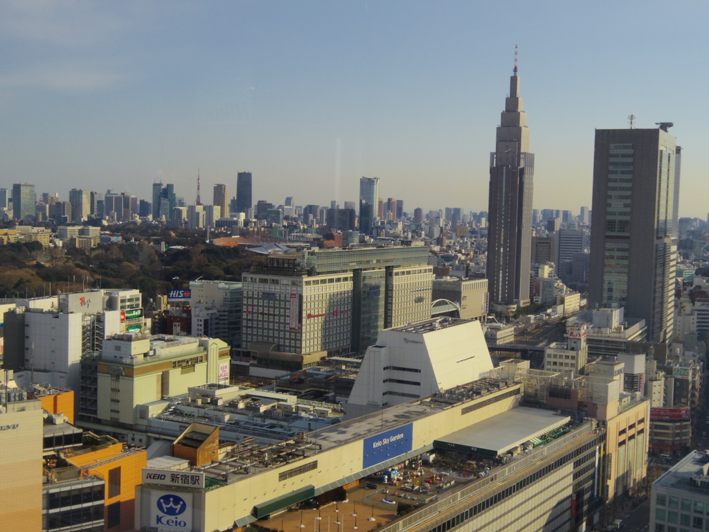 Ｑで東京タワーのトリミング前
