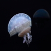 異星人