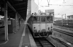 IMG_0031