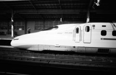 IMG_0007