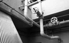 IMG_0011