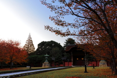 総持寺の秋