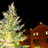 赤レンガ倉庫とクリスマスツリー