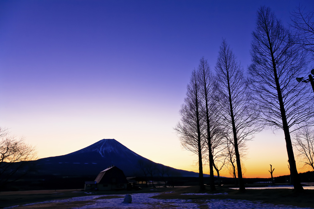 富士と枯れ木とお家
