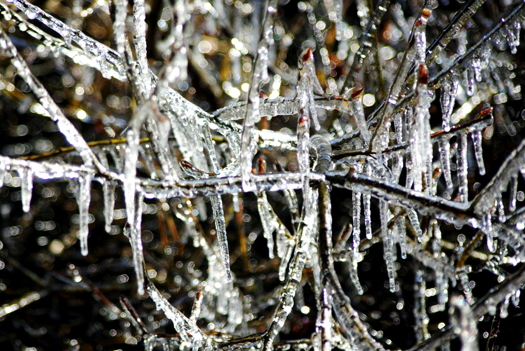 氷柱のシャンデリア