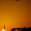 淀川×夕日