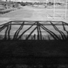 trapezoid