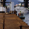 潜水桟橋