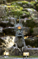 龍ちゃん