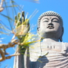 牛久へ。
