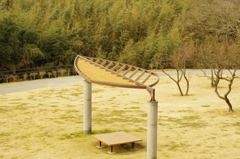 葉っ