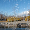 water-Curtain2