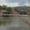 お決まりの場所2