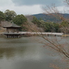 お決まりの場所3