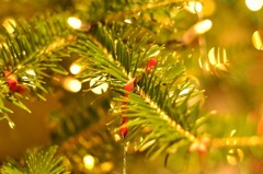 DECEMBER