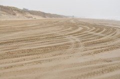 NAGISAdriveway