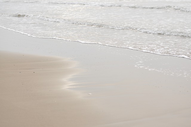 surf