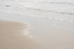 surf