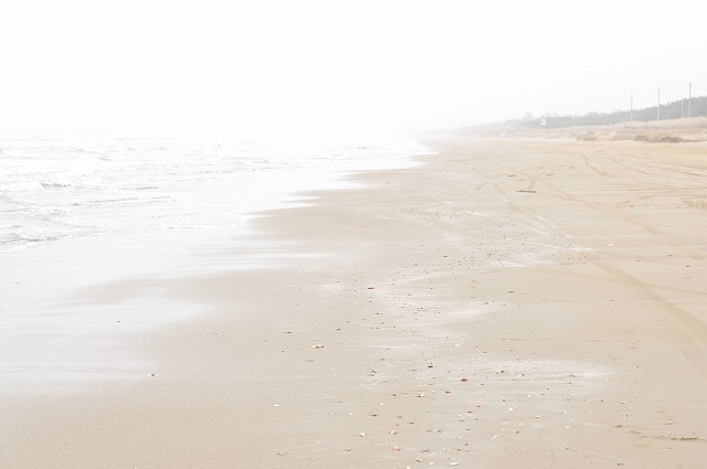 sandy beach