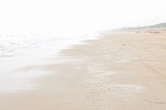 sandy beach