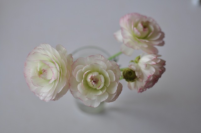 flowering