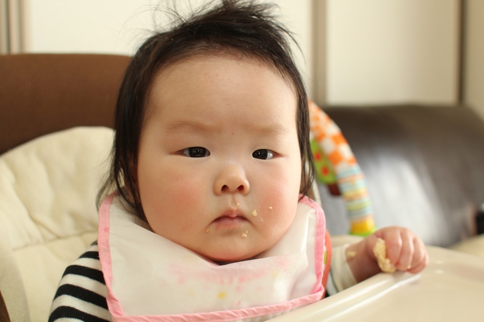 ウエハース食べてますけど、何か？