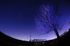聖夜
