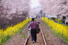 男の花道