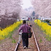 男の花道
