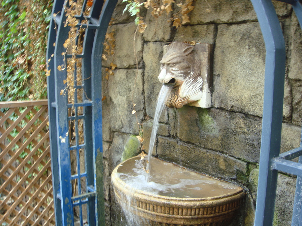 癒しの水