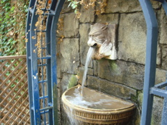 癒しの水