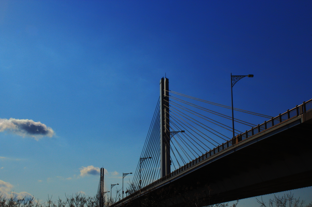 青の菅原城北大橋